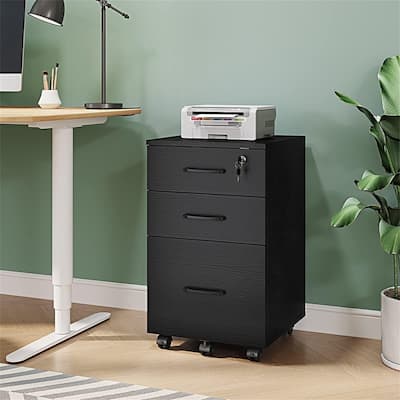 3 Drawer File Cabinet with Lock - 26.47"D x 18.56"W x 6.91"H