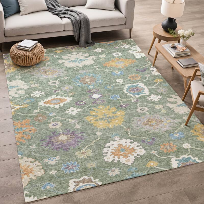 Machine Washable Indoor/ Outdoor Traditonal Delhi Chantille Rug