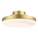 Option Brushed Satin Brass