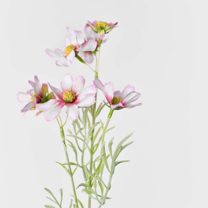 Silk Decorative Artificial Starry Sky Cosmos(Pack of 1 Branch)