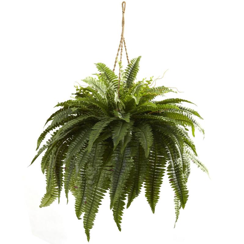 Large Hanging Fern Basket - 36" Decorative Plant Display for Home Office - Elegant Greenery Decor
