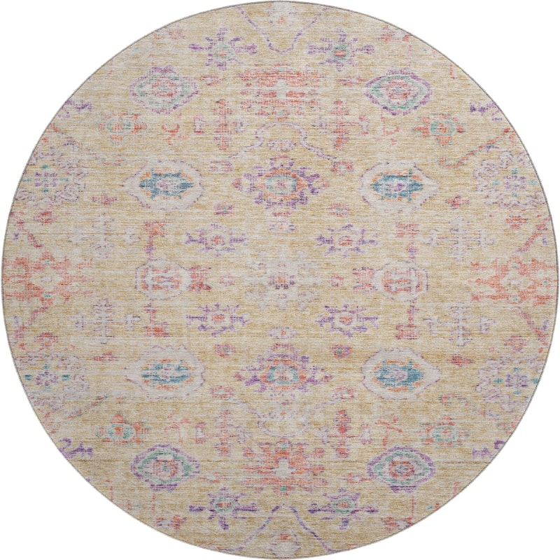 Premium Washable Super Soft Vintage Traditional Mayfield Rug
