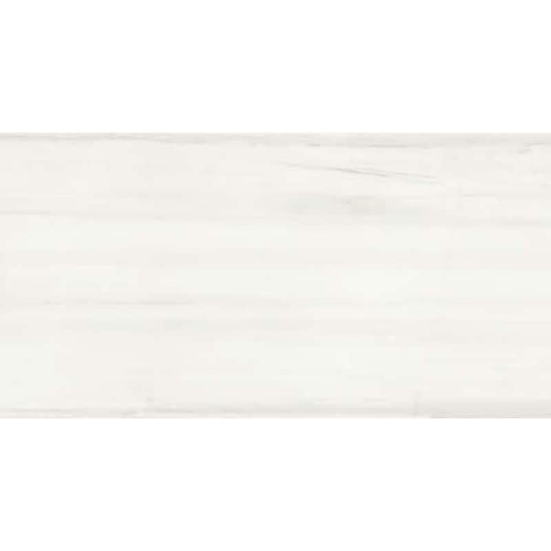 The Tile Life Porto 12x24 Dolomite Matte Porcelain Floor & Wall Tile