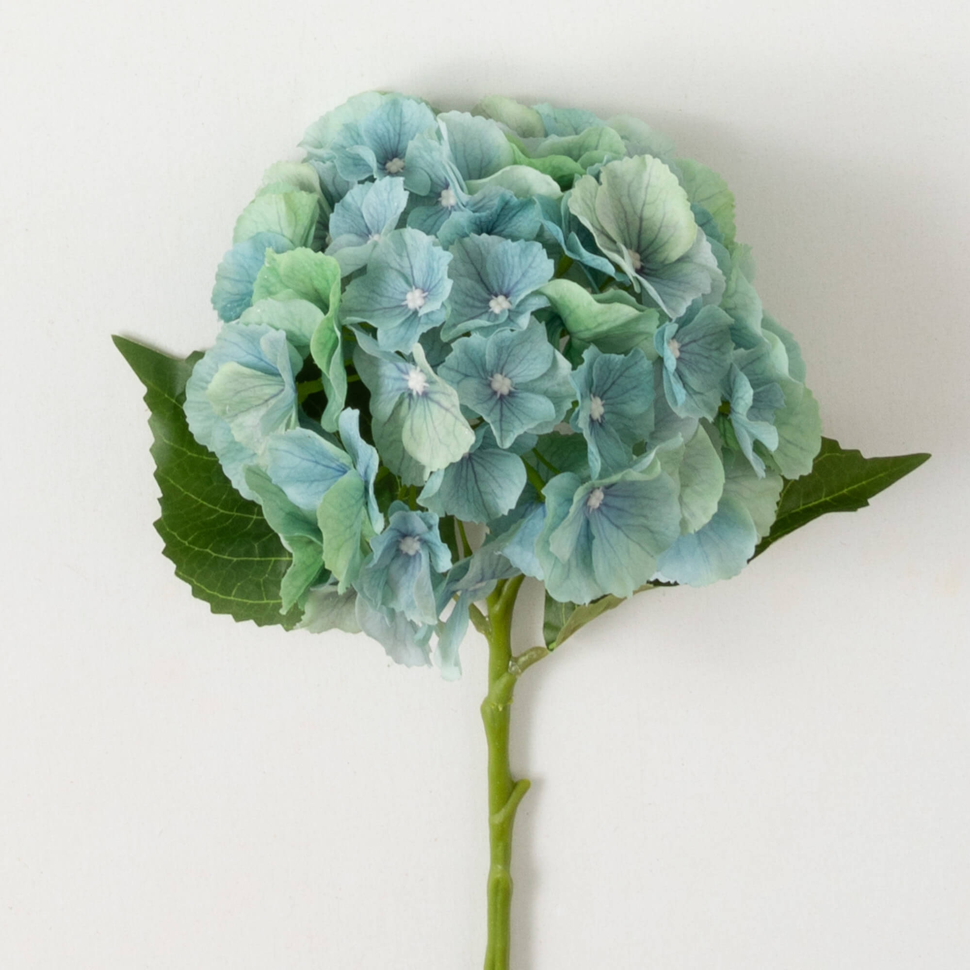 Hydrangea4937　0203 Hydrangea4937 0203 06-23 ZX14 OR ZX14R LOWER TRIPLE TREE