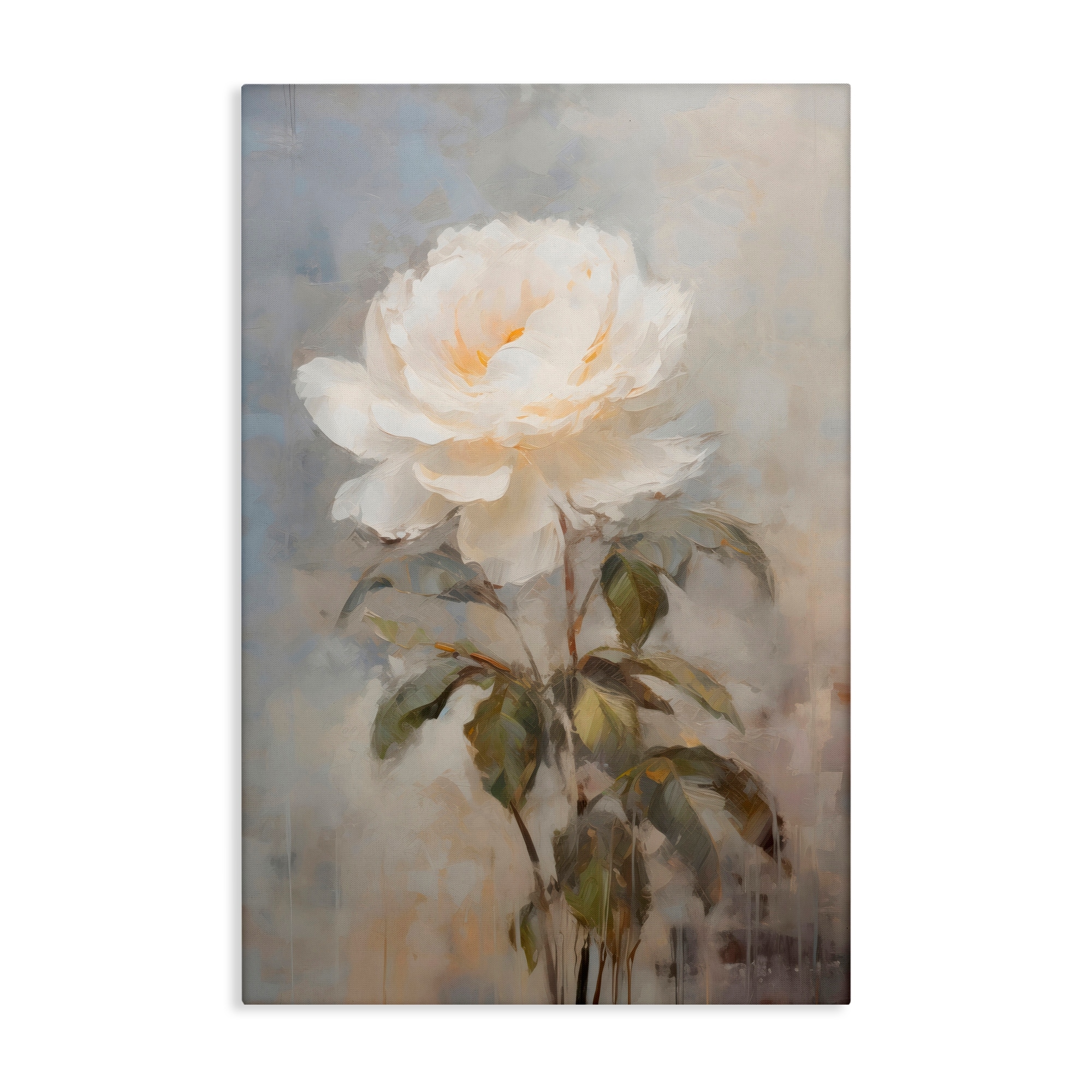 Stupell White Rose Close Up Canvas Wall Art Design By Creative Studio