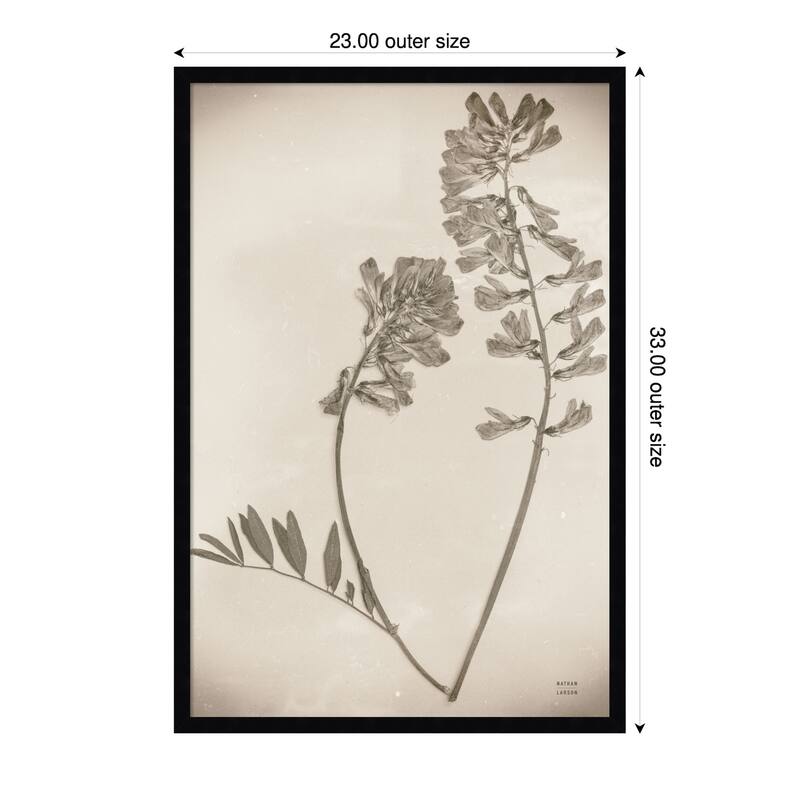 Wildflower Journal Vintage No. 6 by Nathan Larson Wood Framed Wall Art Print - 23 x 33 in - Black