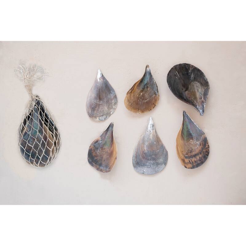 Pen Clam Shells in Bag