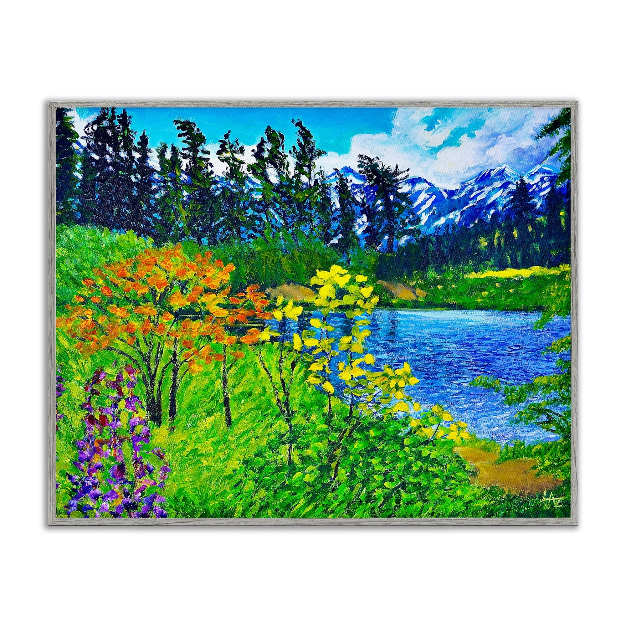 Stupell Hidden Lake Scenery Framed Giclee Art Design By Lee Ann Zirbes