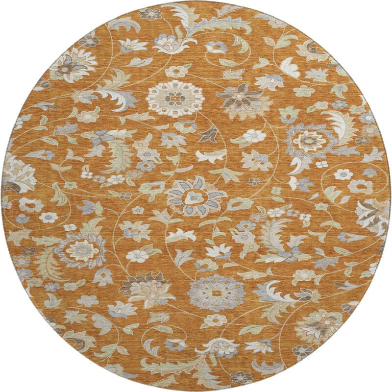 Premium Washable Super Soft Traditional Evie Mayfield Rug