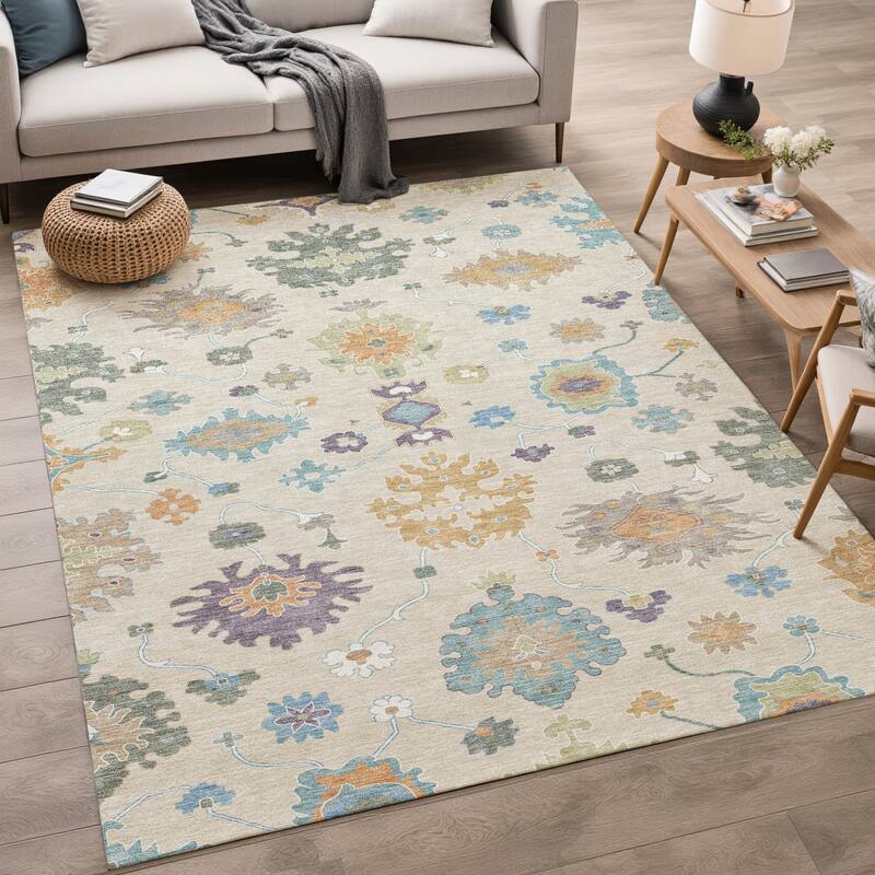 Machine Washable Indoor/ Outdoor Traditonal Delhi Chantille Rug