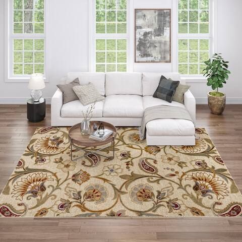 Infinity Transitional Floral Indoor Area Rug