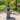 Antoni Zinc Finish Outdoor Floor Fountain - 26" x 45"
