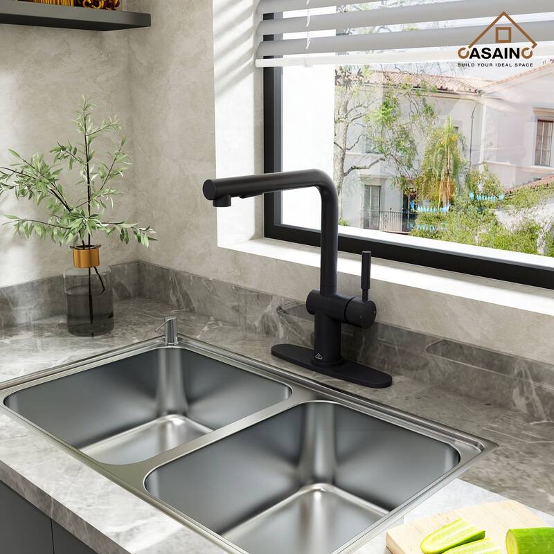 Single Handle Pull Out Sprayer Kitchen Faucet