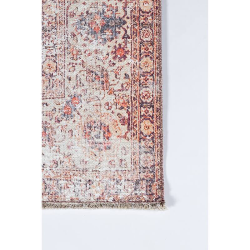 Momeni Chandler Cotton and Polyester Traditional Area Rug