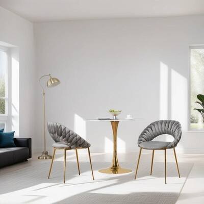 Mid-Century Velvet Side Chairs with Gold Legs, Upholstered Dining Chairs for Dinning Room, Accent Chairs Set of 2, Gray