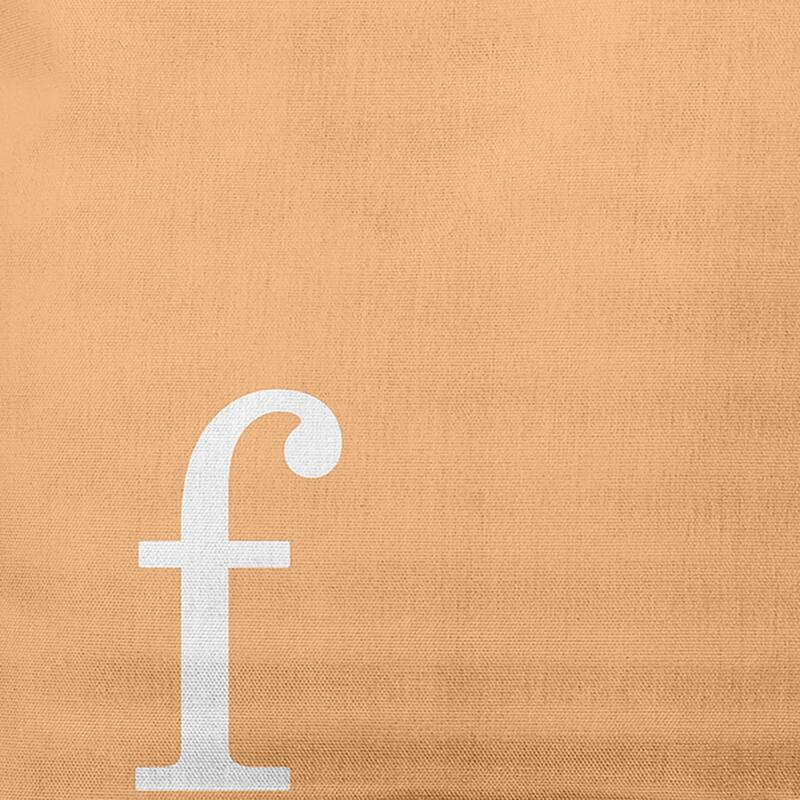 Modern Monogram Indoor/Outdoor Throw Pillow-F
