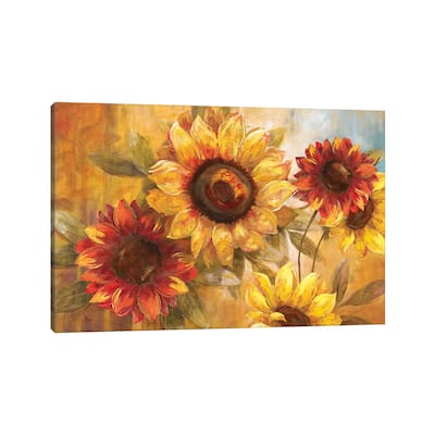 iCanvas "Sunflower Cheer" by Nan Canvas Print