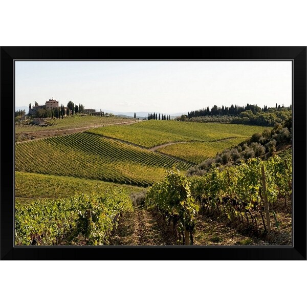 "Vineyard, Route 429, Chianti Region, Tuscany, Italy" Black Framed Print