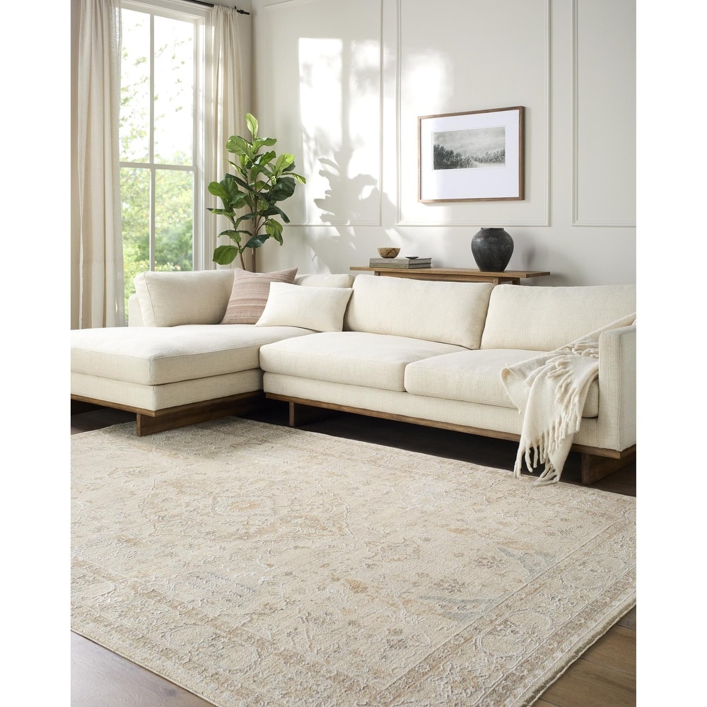 Rachel Zoe x Livabliss The Vintage Edit Traditional Area Rug