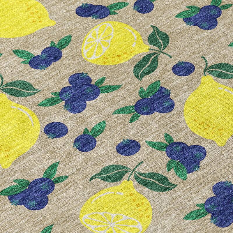 Machine Washable Indoor/ Outdoor Citrus Berry Chantille Rug