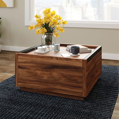 Brown 2-Drawer Storage Cabinet Coffee Table 31 Inch Wide for Living Room Family Room