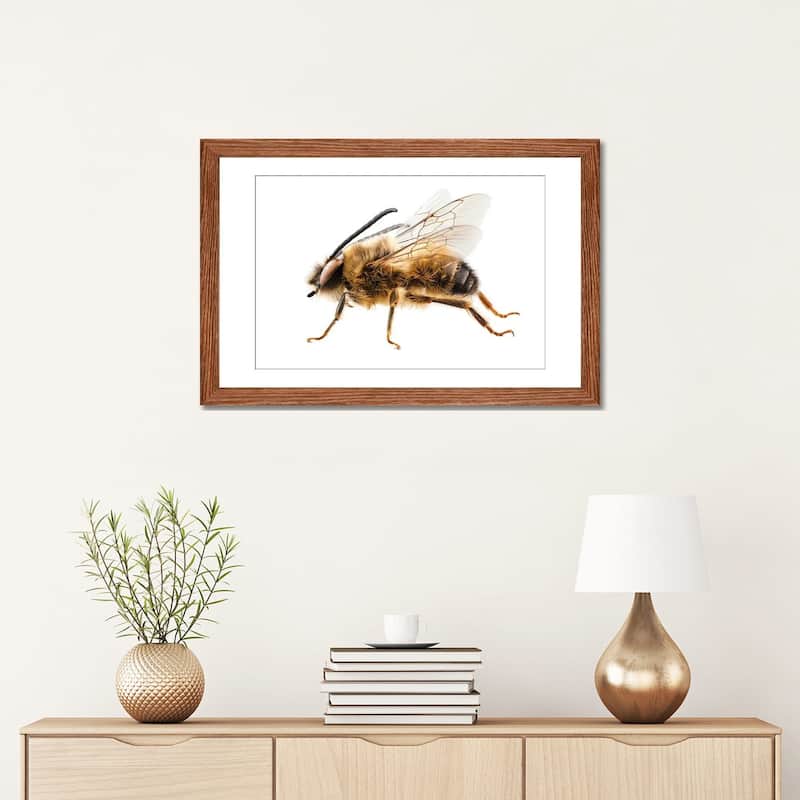 iCanvas "Bee Species Eucera Longicornis Common Name Solitary Miner Bee" by Paul Rommer