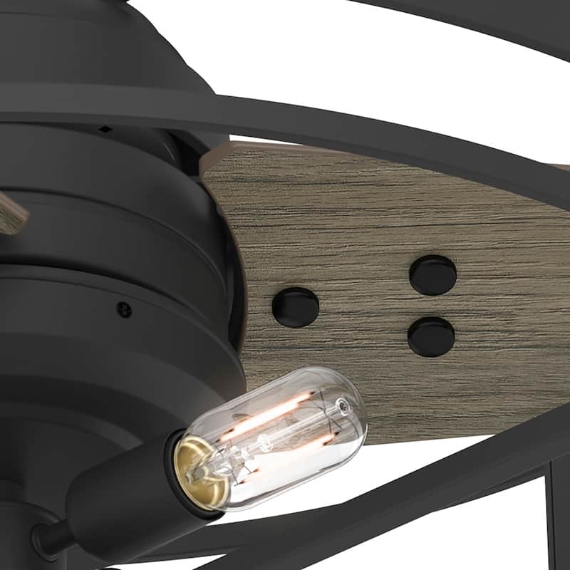 Hunter 30" Millstone Caged Fandelier Ceiling Fan with LED Light, Handheld Remote - Farmhouse, Industrial, Rustic, Casual