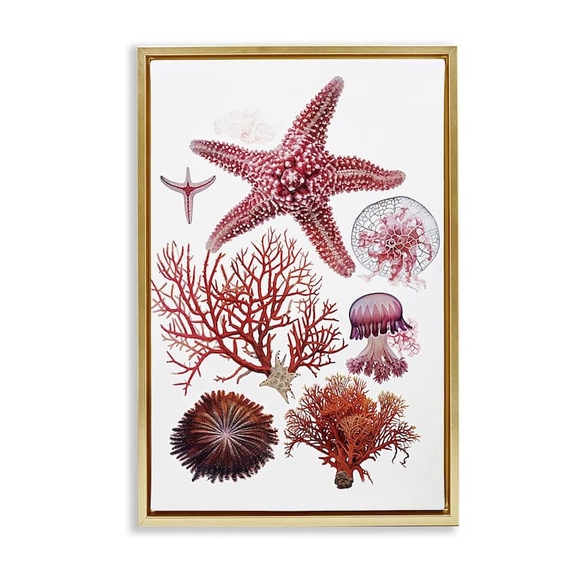 Stupell Rosy Undersea Creatures Framed Floater Canvas Wall Art Design By Ramona Murdock - 17 x 25 - Gold