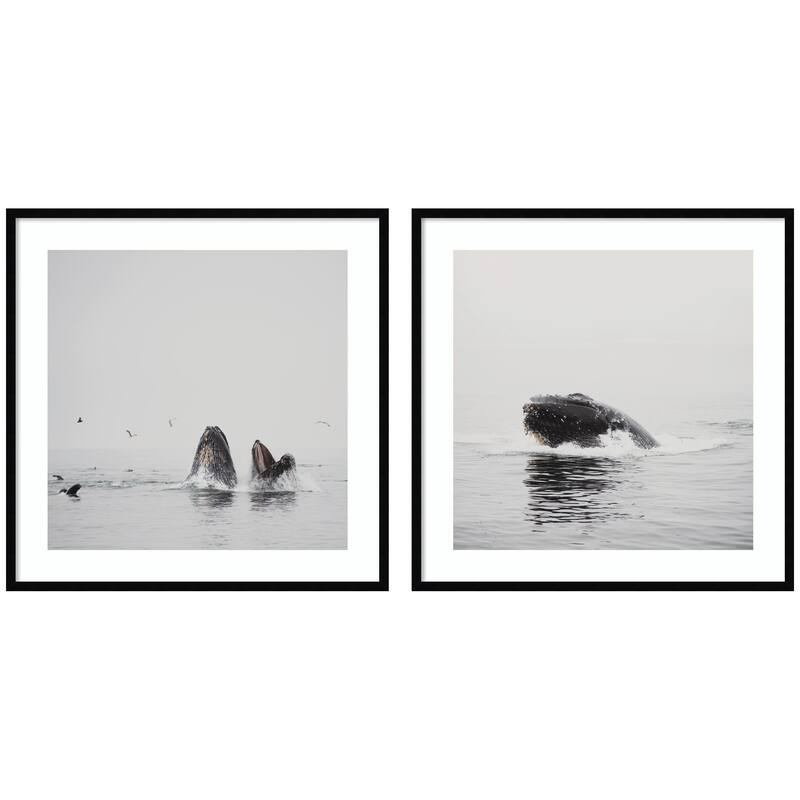 Kate and Laurel Humpback Whale 2 Piece Framed Wall Art Print Set by Laura Evans - 2 Piece Set 33x33 - Black