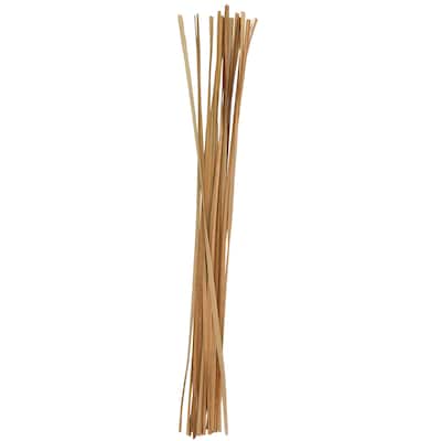 Dried Plant Tall Sticks Home Decor Natural Foliage - Brown - Roche River Decor