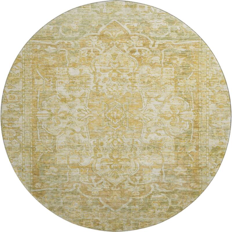 Premium Washable Super Soft Vintage Traditional Mayfield Rug