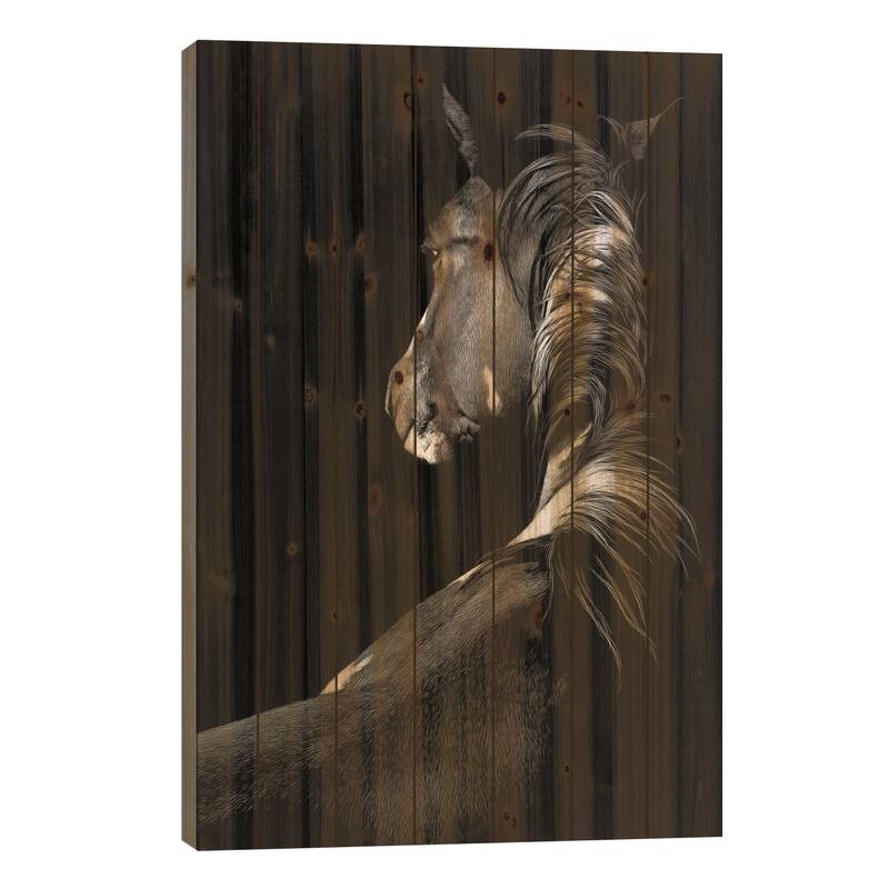 Sunstruck Print On Wood by Julie T. Chapman - Multi-Color - 40x26x1.5