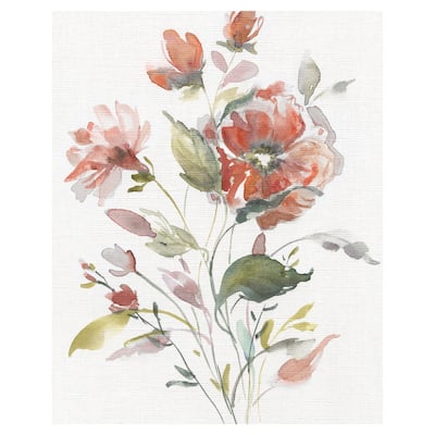 Coral Botanical I Crop by Carol Robinson Canvas Art Print