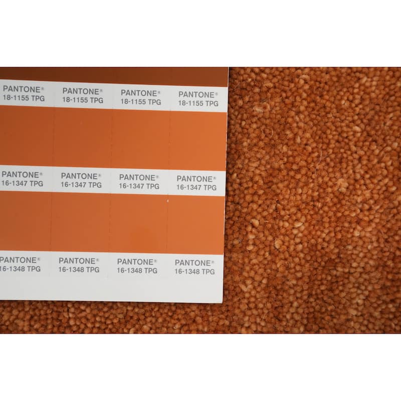 Hand Knotted Oriental 100% Wool Carpet Tribal Animal Pictorial Oranges & Rust Gabbeh Area Rug - 7' 11'' X 4' 10''