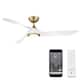 Option Matte White / Soft Brass