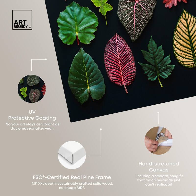Leaf Lexicon Canvas by Art Remedy, Gallery Wrapped