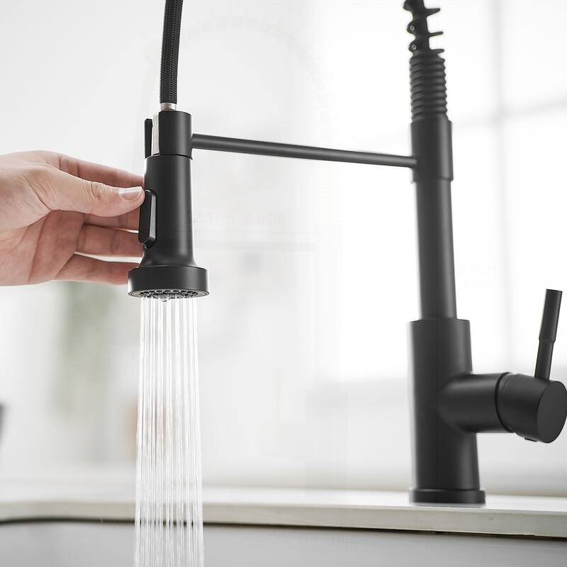 Kitchen Faucet with Pull Down Sprayer and Single Handle