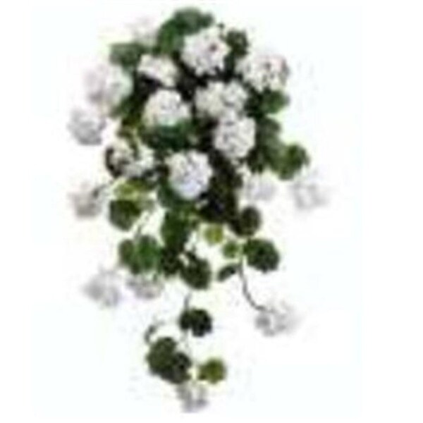 FBG925-WH 47 in. W.R. Geranium Hg-Bu.X14 White Pack of 4