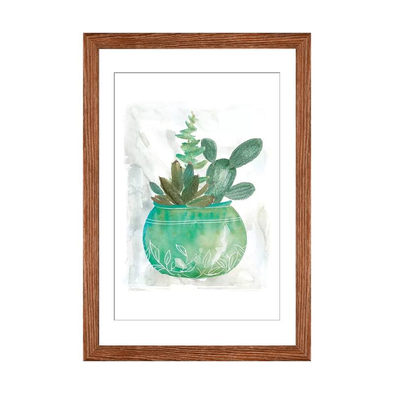 iCanvas "Summer Succulent" by Carol Robinson - Walnut - 24x16x1