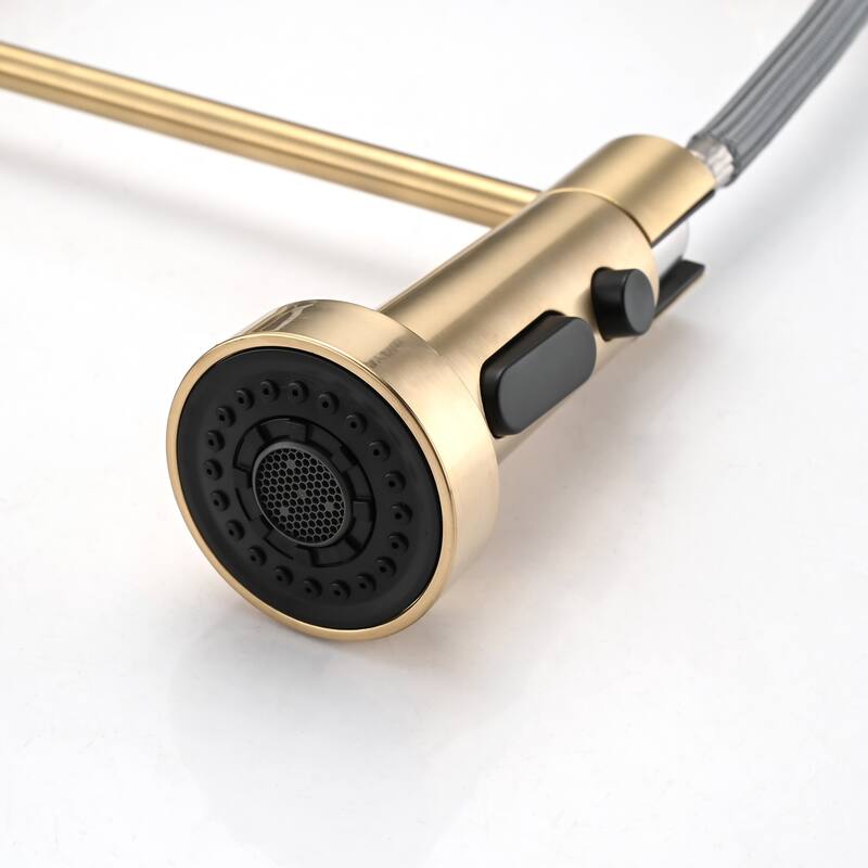 DORNBERG Gold Pull Down Sprayer Spring Kitchen Sink Faucet