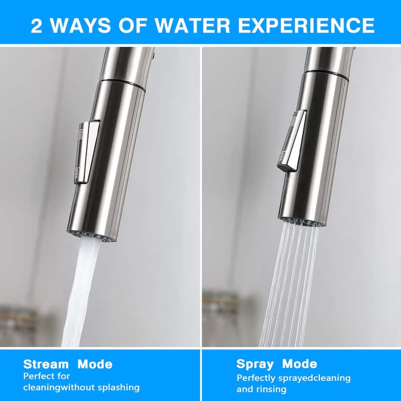 Single Handle Pull-Down Kitchen Faucet with Dual Spray, Swivel Spout
