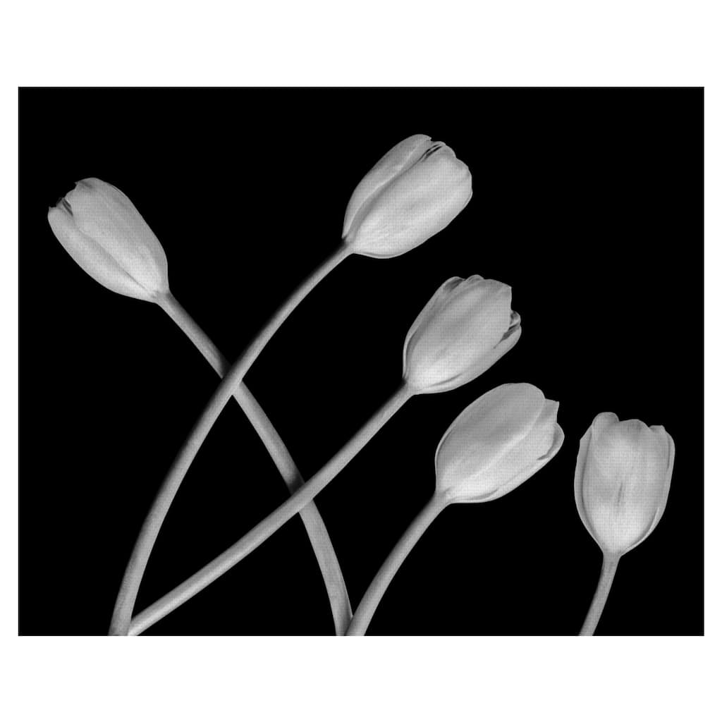 Untitled 132 by Michael Faragher Canvas Art Print