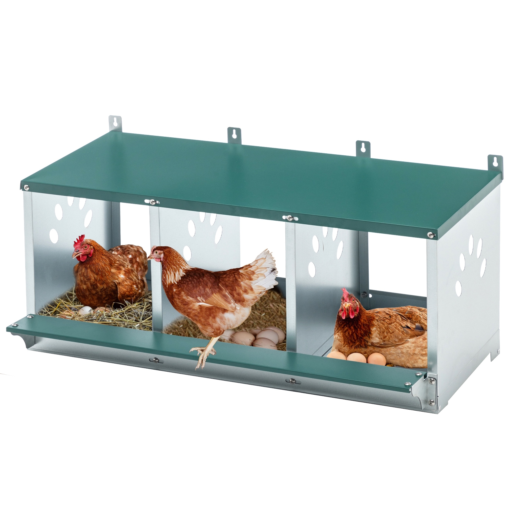 3-Compartment Metal Chicken Nesting Box - Galvanized Steel, Easy to Assemble