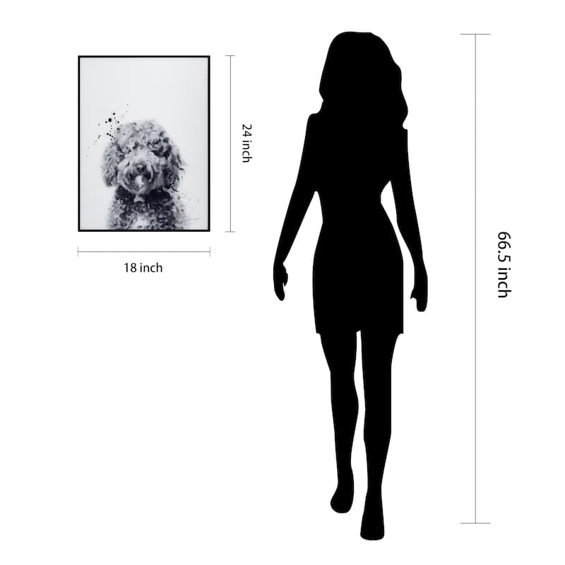 "Labradoodle" Black and White Pet Art on Printed Glass Encased with a Black Anodized Frame
