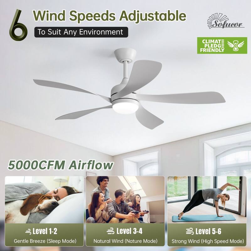 52"/66" Inch Ceiling Fan with Light,APP and Remote Control, Low Profile,Smart Optional