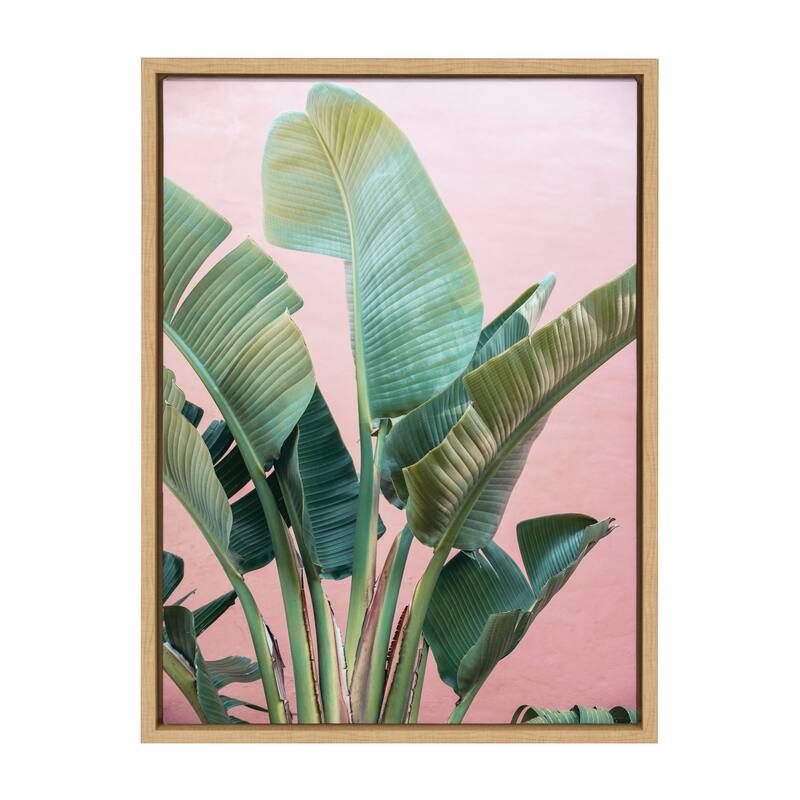 Kate and Laurel Sylvie Tropic Pink Framed Canvas by Alicia Bock