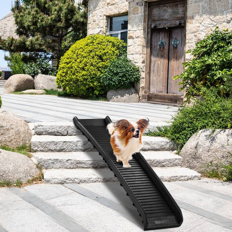 Plastic Folding Dog Ramp & Stairs