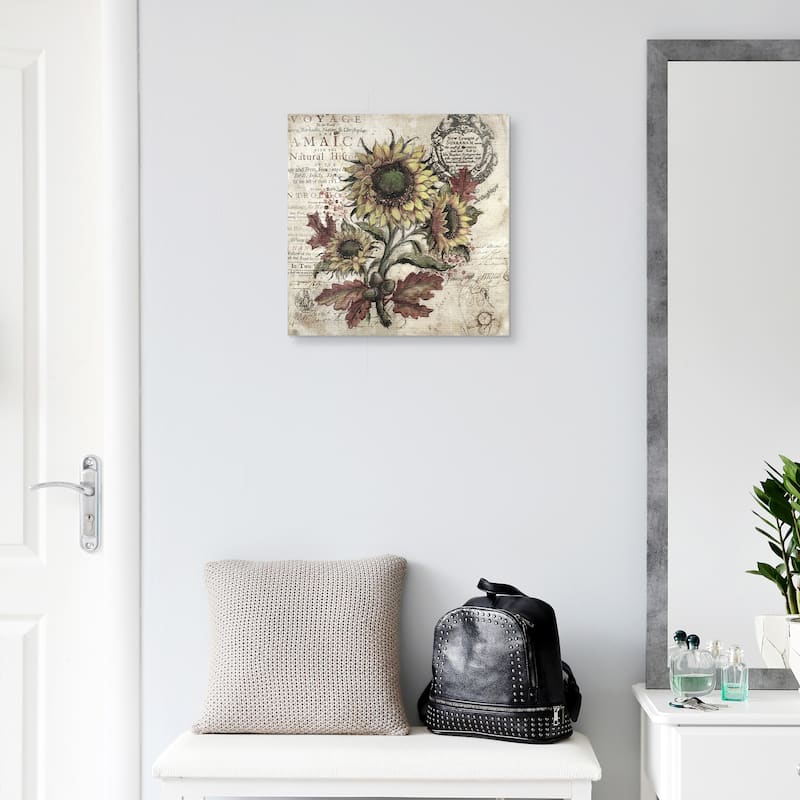 Olde Sunflower Ivory by Geoff Allen Canvas Art Print