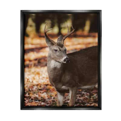 Stupell Deer in Fall Foliage Framed Floater Canvas Wall Art Design by Dakota Diener