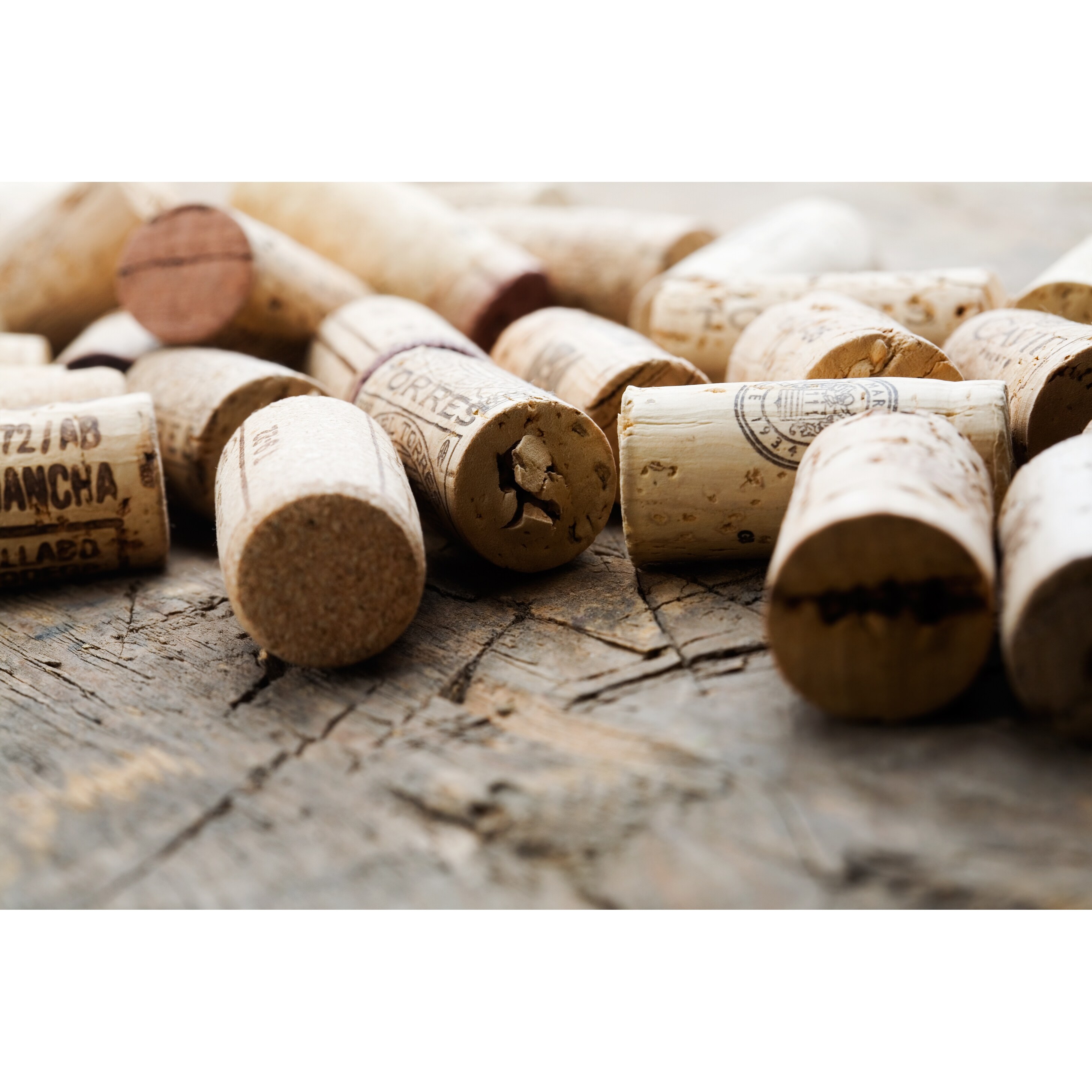 Wine cork holder clearance bed bath and beyond